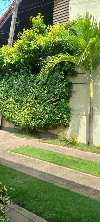 Ocean View Tourist Guest House At Negombo Beach Near The Airport Exteriör bild