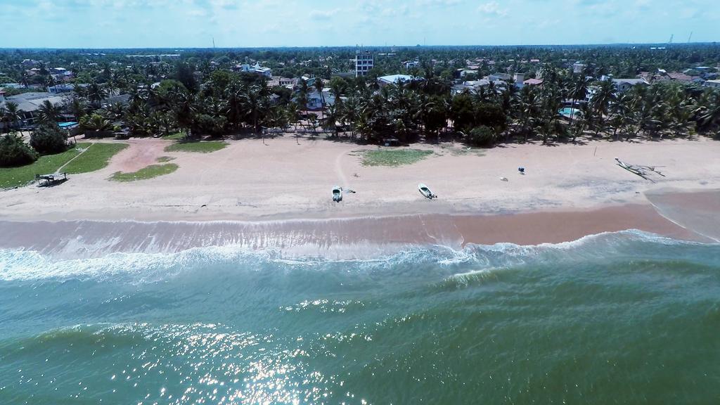 Ocean View Tourist Guest House At Negombo Beach Near The Airport Exteriör bild