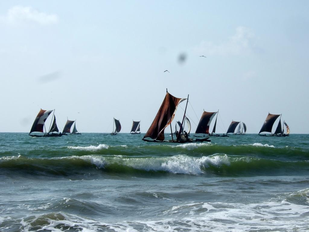 Ocean View Tourist Guest House At Negombo Beach Near The Airport Exteriör bild